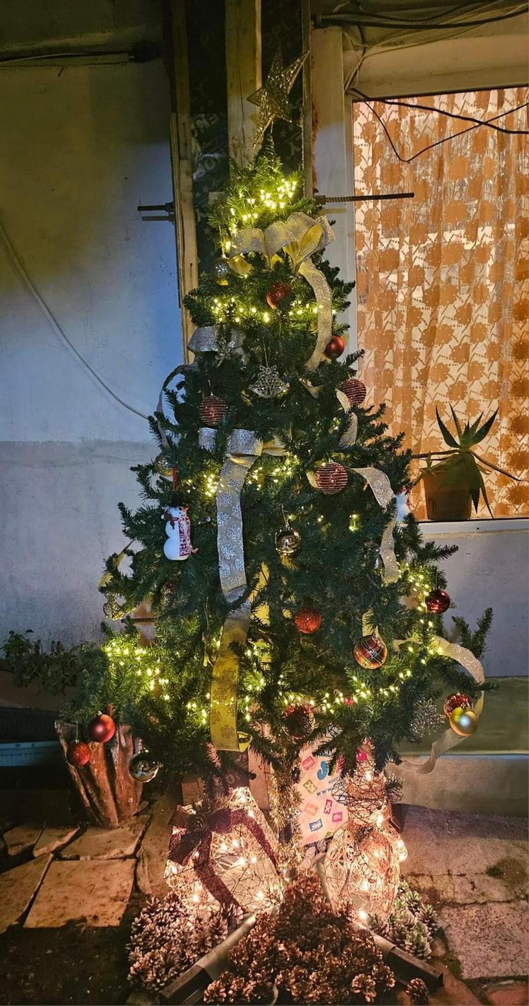 Hostal Libera Sofía