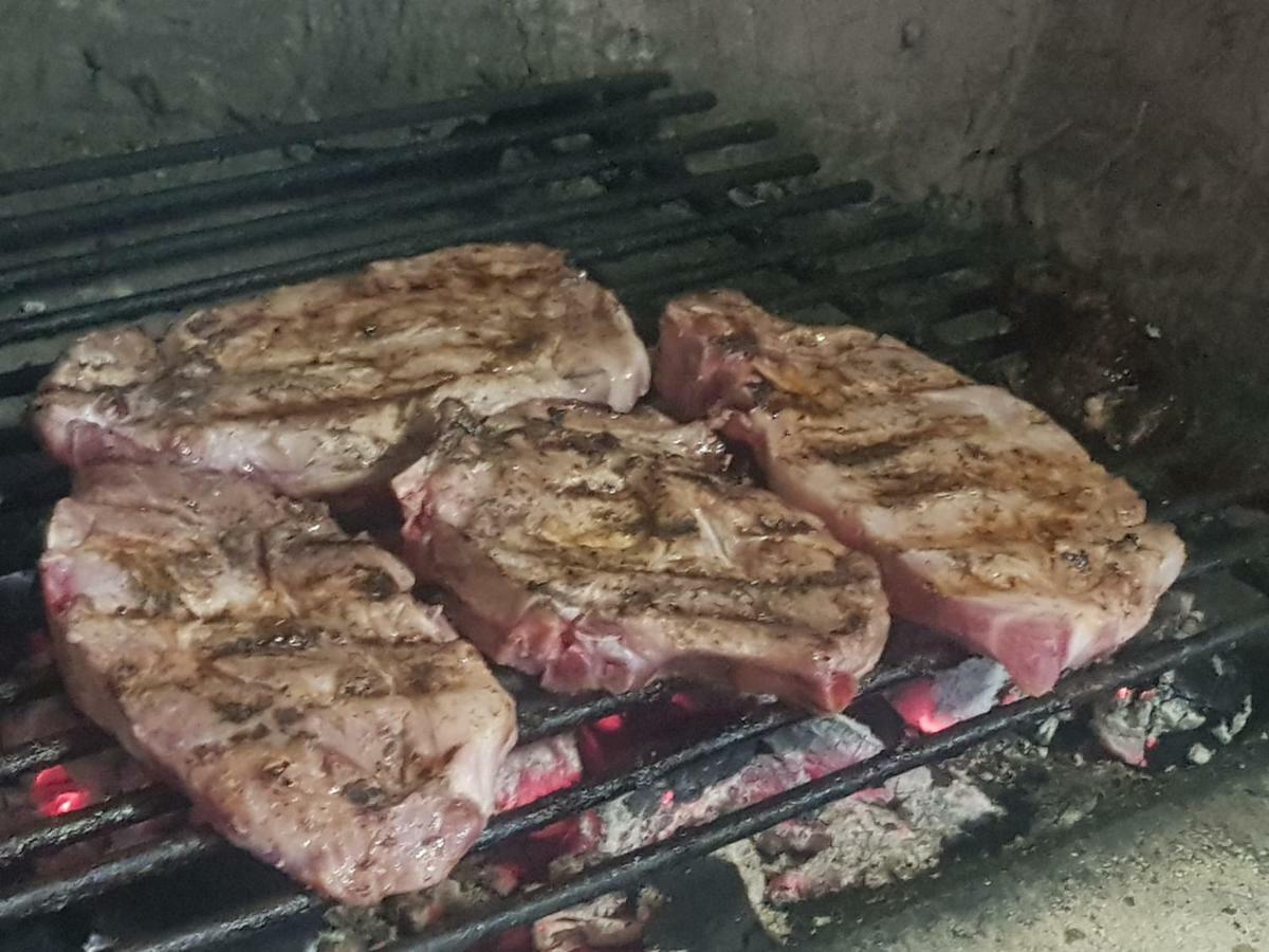 Libera Sofía